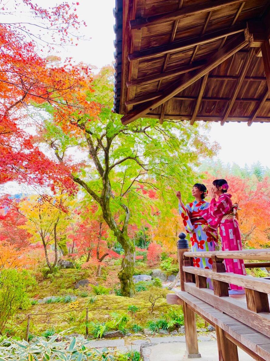 宿泊していたホテルが近くなので♪2018年11月28日3