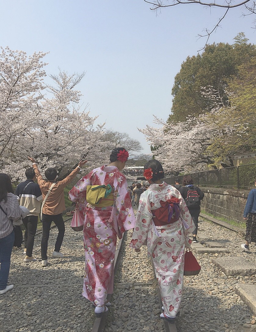 お花見日和2019年4月7日2