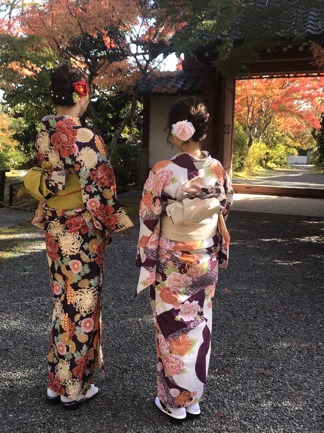南禅寺も紅葉少しずつ赤くなってます♡2019年11月15日6